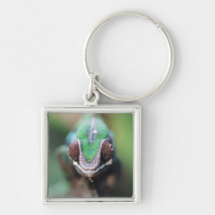 Porte-clés Madagascar, bar rouge Panther Chameleon