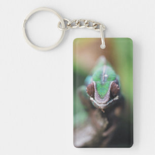 Porte-clés Madagascar, Caméléon panthère à barre rouge