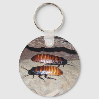 Porte-clés Madagascar Hissing Cockroach