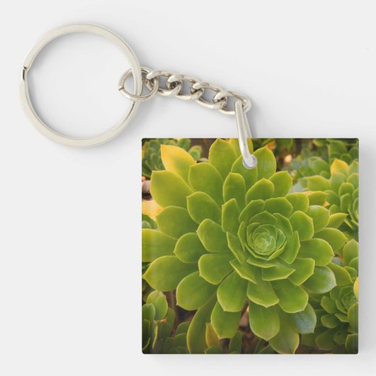 Porte-clés Madeira's Green Embrace (Devant)