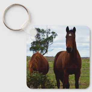 Porte-clés Magnifique grand cheval brun,