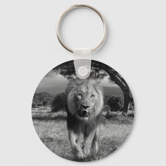 Porte-clés Magnifique Lion (Recto)