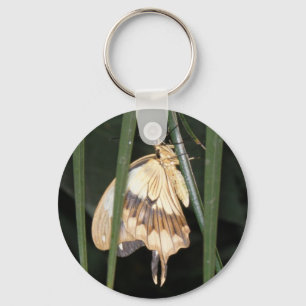 Porte-clés Magnifique Porte - clé Moth