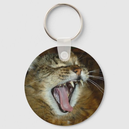 Porte-clés Maine coon 2 porte - clé (Recto)