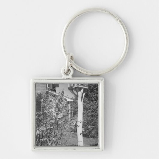 Porte-clés Maison d'oiseau dans le jardin (Devant)