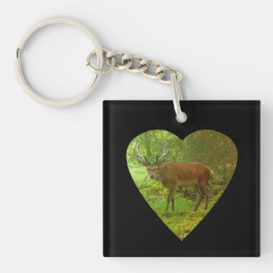 Porte-clés Majestueux Cerf Prudente à Cornes Faune Puissante
