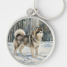 Malamute d'Alaska