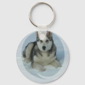 Porte-clés Malamute d'Alaska mignon (Recto)