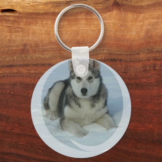Porte-clés Malamute d'Alaska mignon (Recto)