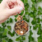 Porte-clés Mâle dans des cerfs communs de queue blanche de (Main)