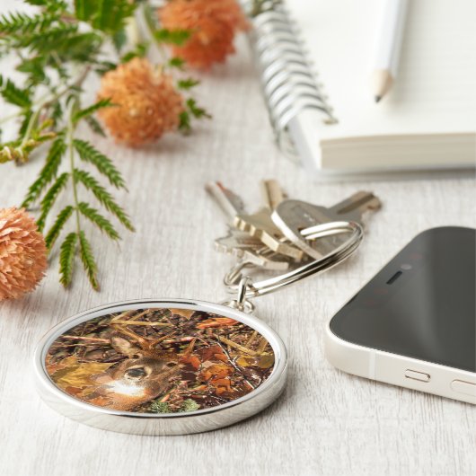 Porte-clés Mâle dans des cerfs communs de queue blanche de (Côté)