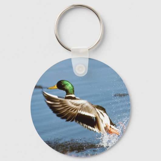 Porte-clés Mallard Duck (Recto)