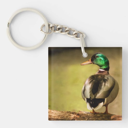 Porte-clés Mallard Duck (Devant)