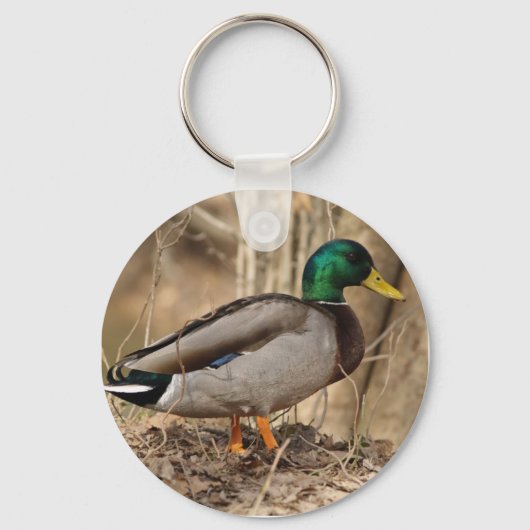 PORTE-CLÉS MALLARD DUCK PORTE - CLÉ (Recto)