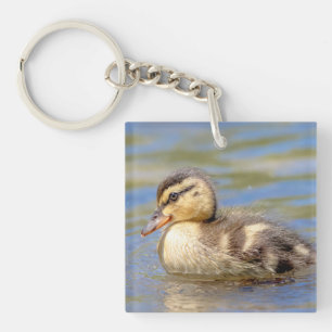 Porte-clés Mallard Duckling