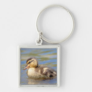 Porte-clés Mallard Duckling