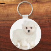 Porte-clés Maltais (Recto)