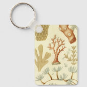 Porte-clés Manuel de sciences Biologie, Animaux de corail vin (Recto)