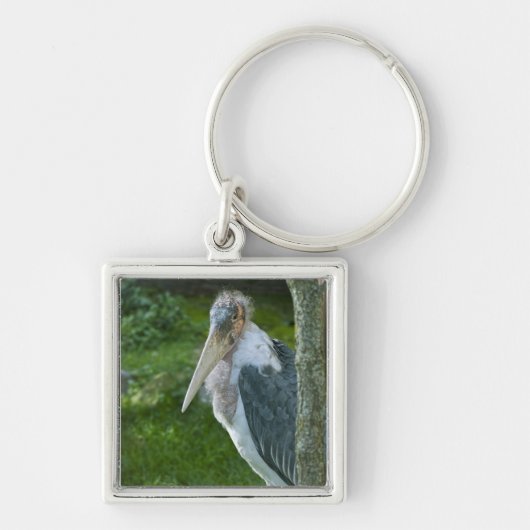 Porte-clés Marabou (Devant)