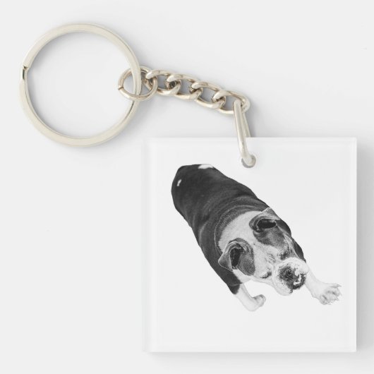 Porte-clés Marche d'action Chien Encourage Chaque Trajet de V (Devant)