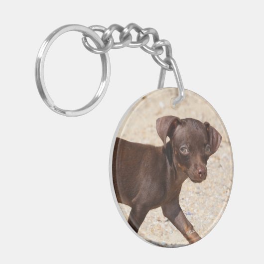 Porte-clés Marche de chiot de chiwawa (Devant gauche)