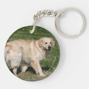 Porte-clés Marche de golden retriever