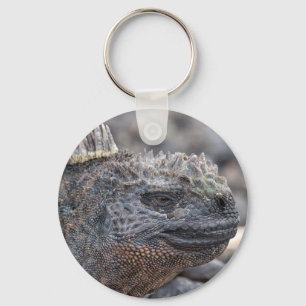 Porte-clés Marine Iguana
