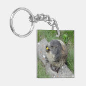 Porte-clés Marmot porte - clé (Devant gauche)