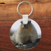 Porte-clés Marmotte à ventre jaune (Recto)