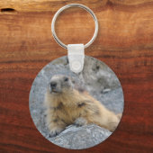 Porte-clés Marmotte des Alpes sur la roche (Recto)
