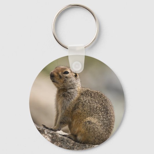 Porte-clés Marmotte huppée alpine (Recto)