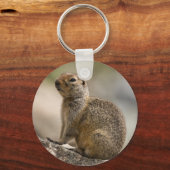 Porte-clés Marmotte huppée alpine (Recto)