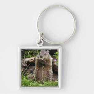 Porte-clés Marmotte mâchant une fleur