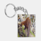 Porte-clés Marque de pin sur le journal (Devant gauche)