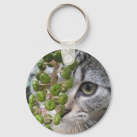 Porte-clés Masquer le Porte - clé Kitten (Recto)
