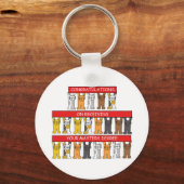 Porte-clés Masters Degree Félicitations Cartoon Cats (Recto)