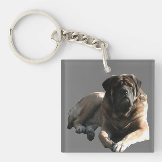 Porte-clés Mastiff Géant Gentil (Devant)