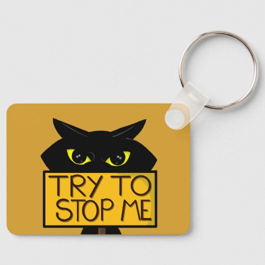 Porte-clés Mauvais Boogie -Le Chat- "Essayer De" KeyChains dr (Recto)