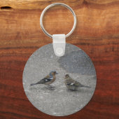 Porte-clés Me nourrir Porte - clé Chaffinch (Recto)