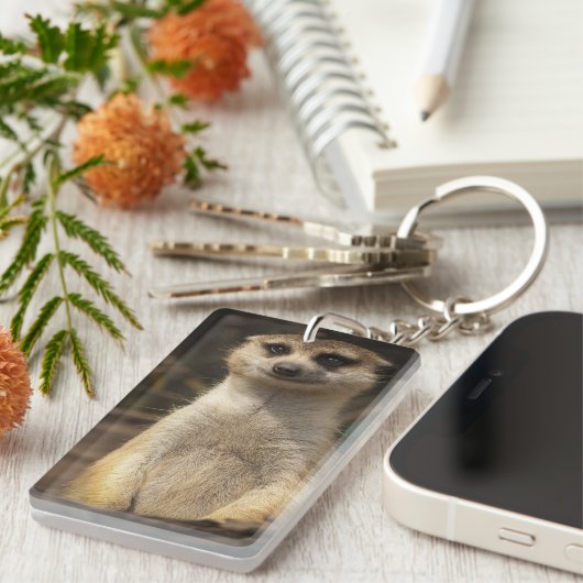Porte-clés Meerkat (Devant droit)