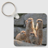 Porte-clés Meerkat 110 (Recto)