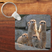 Porte-clés Meerkat 110 (Recto)