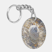 Porte-clés Meerkat Nest, (Devant gauche)