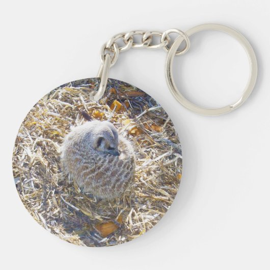 Porte-clés Meerkat Nest, (Dos)
