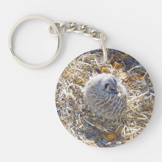 Porte-clés Meerkat Nest, (Devant)