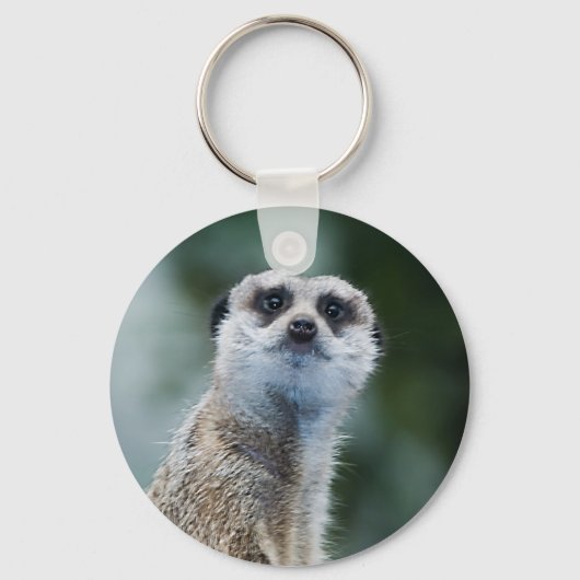 Porte-clés Meerkat Porte - clé (Recto)