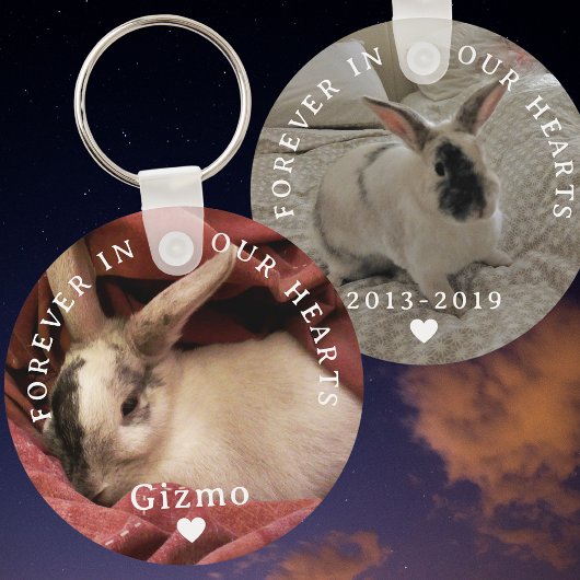 Porte-clés Mémorial du lapin lapin pour animaux de compagnie 