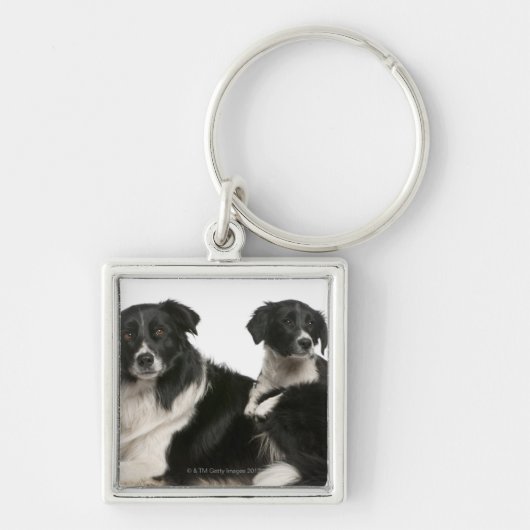 Porte-clés Mère border collie et chiot (Devant)