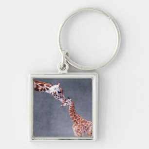 Porte-clés Mère des images   de Getty et girafe de bébé