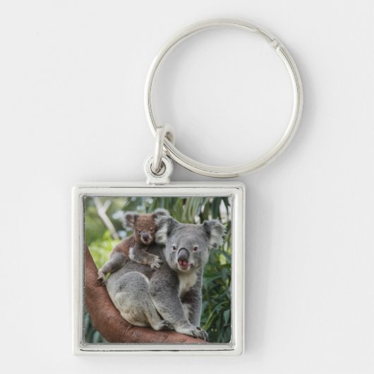 Porte-clés Mère et bébé Ours Koala (Devant)